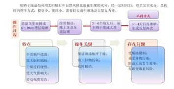 首届花生生态峰会盛大召开，全方位解读物业管理及配套服务新生态